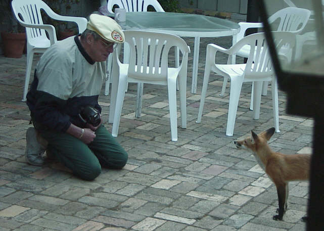 Fox meets Old Fart